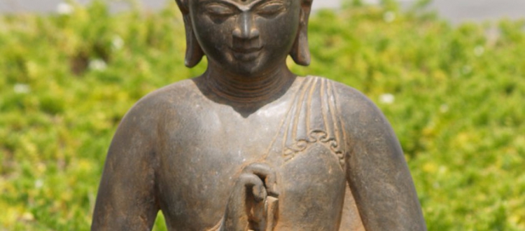 dharmachakra mudra